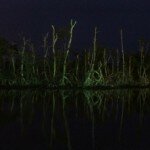 A Peace like the Creeks of Niger Delta