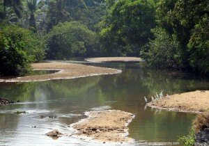 Picture Source: skyscrapercity.com