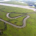 Niger Delta from the Window of a Cockpit