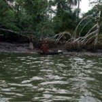 The Sweet Life of the Naija Delta