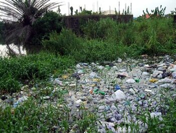 Refuse dump at the pool edge where the crocodiles often come to feed at night