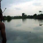 Errant Crocodiles and Alligators in Ajah- Residents’ Fears Rising