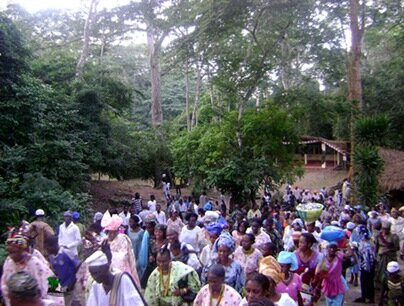 Osun worshippers at the grove