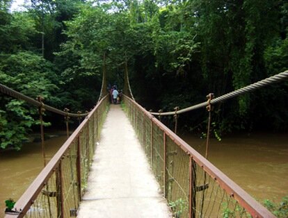 Picturesque metal pedestrian bridge crossing the Osun river at the grove