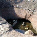 Akure Terrapin Habitat is Drying Up!