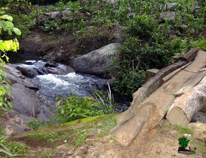 Arun River and the wooden bridge lieing across it