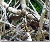 Travelogue Nigeria_Naijatreks