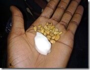 Travelogue Nigeria_Naijatreks