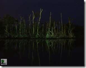 Travelogue Nigeria_Naijatreks