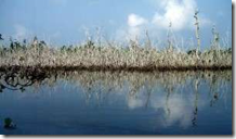 Travelogue Nigeria_Naijatreks