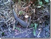 Travelogue Nigeria_Naijatreks