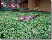 Travelogue Nigeria_Naijatreks