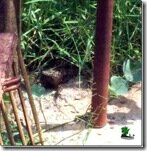 Travelogue Nigeria_Naijatreks