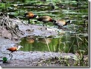 Travelogue Nigeria_Naijatreks