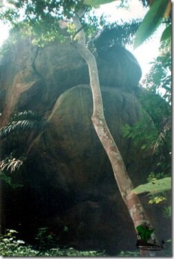 The rock under which the cave is ensconced