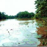 Enchanted by the waters of Nike Lake, Enugu