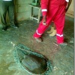 Kill another African Softshell Turtle and you’ve killed another Niger Delta pikin!!!