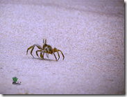 Travelogue Nigeria_Naijatreks