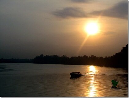 Bush baby_Niger Delta_Naijatreks