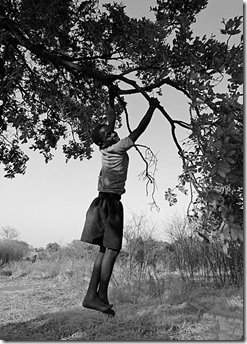 Photo Source: www.photostaud.com