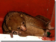 Travelogue Nigeria_Naijatreks