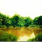 Elémìnígèdè Lake in Ekiti- The mysterious waters that breathe!