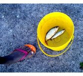 Fishing in the Niger Delta