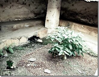 Naijatreks_akpalace26b