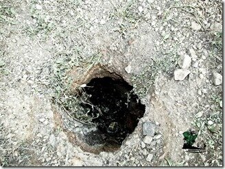 Naijatreks_akpalace28