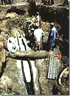 : www.wysinger.homestead.com