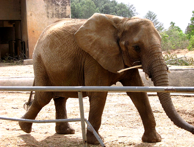 Photo by Richard Milena (on Flicker.com)