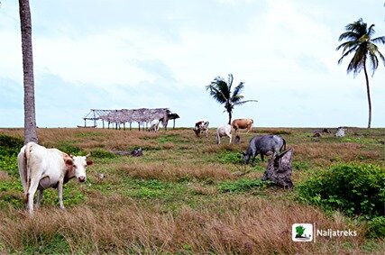 Naijatreks_badagry_beach at Topo3
