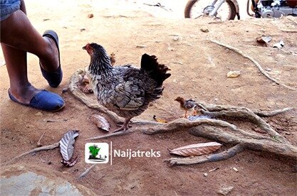 Idanre Village9l_Naijatreks