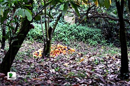 Idanre Village9s_Naijatreks