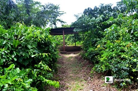 Queen of Sheba tomb_Oke-Eiri8_Naijatreks