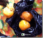 Travelogue Nigeria_Naijatreks