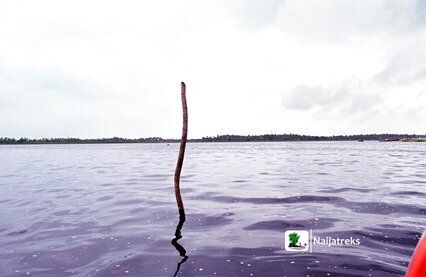 Naijatreks_anchor badagry5