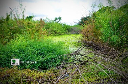 Oke-Ado Mountain Ado Awaye Lake 1g Naijatreks