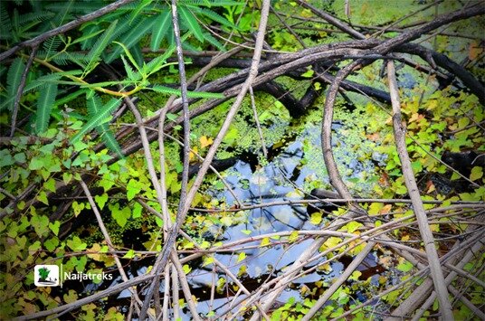 Oke-Ado Mountain Ado Awaye Lake 1h Naijatreks