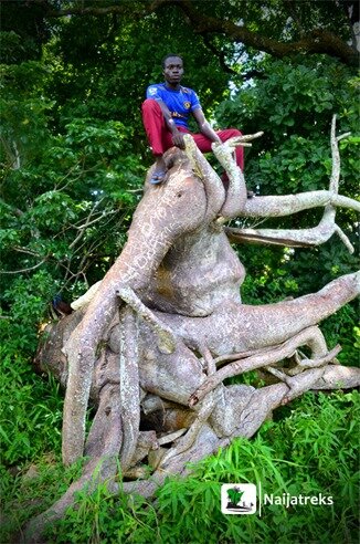 Oke-Ado Mountain Ado Awaye Lake 1n Naijatreks