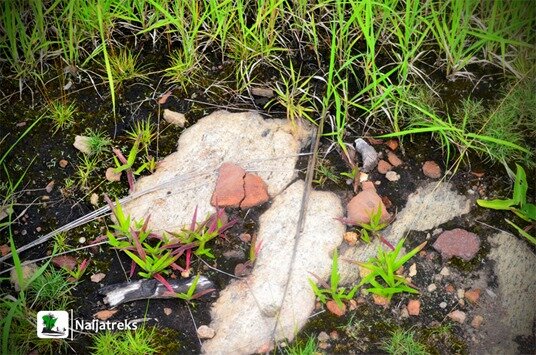 Oke-Ado Mountain Ado Awaye Lake 1u Naijatreks