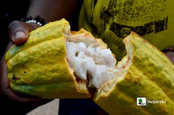 Iho Eleeru Cave of Ashes Ondo Naijatreks 4g