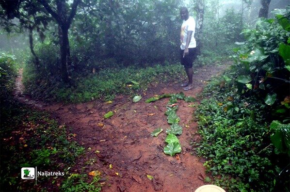 Olumirin waterfalls Erin-Ijesa Osun Naijatreks2x