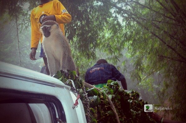 Olumirin waterfalls Erin-Ijesa Osun Naijatreks3c