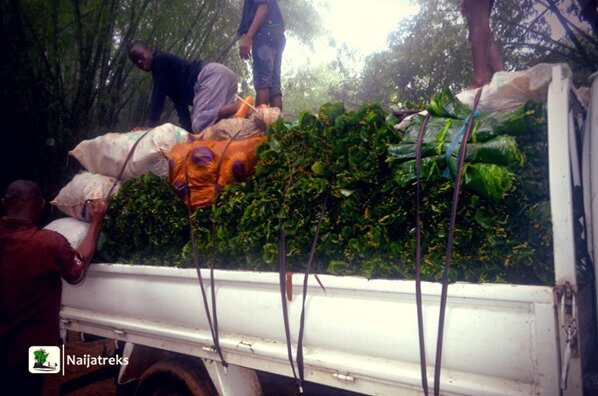 Olumirin waterfalls Erin-Ijesa Osun Naijatreks3e