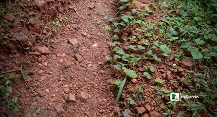 Akure Moat 04 Naijatreks