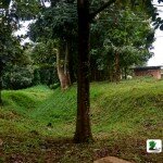Akure Moat: A New Archeological Discovery in Ondo State, Southwest Nigeria?