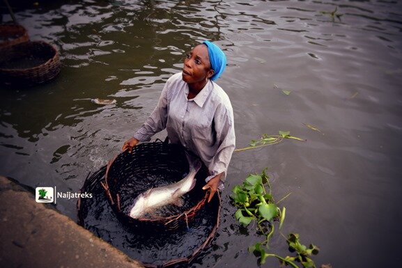 Epe Fish Market Seafood Naijatreks 21