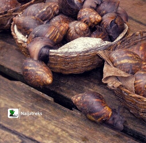 Epe Fish Market Seafood Naijatreks 24