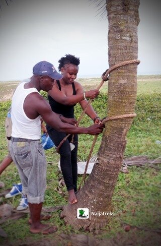20 Badagry beach palmtree climbing Nigeria Naijatreks